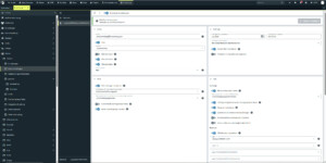 Umfangreiche Einstellmöglichkeiten für Amazon in PlentyONE